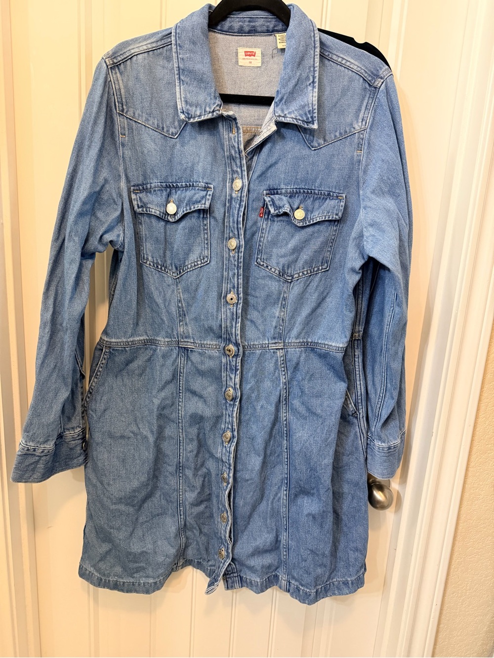 Levi's Light Blue Denim Button-Front Mini Dress
